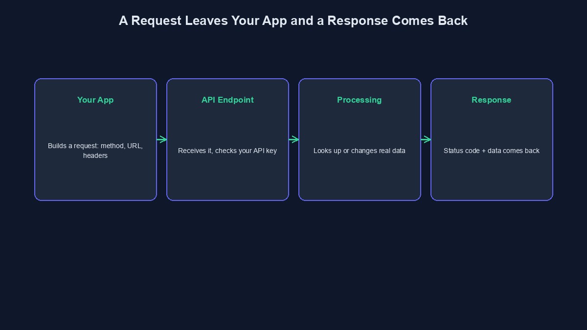 A diagram showing a request leaving an app, hitting an API endpoint, and a response coming back