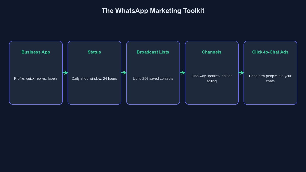 A diagram showing the main WhatsApp marketing tools: Business app, Status, broadcast lists, Channels and click-to-chat ads
